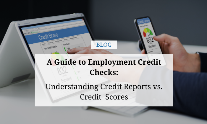 employment credit checks